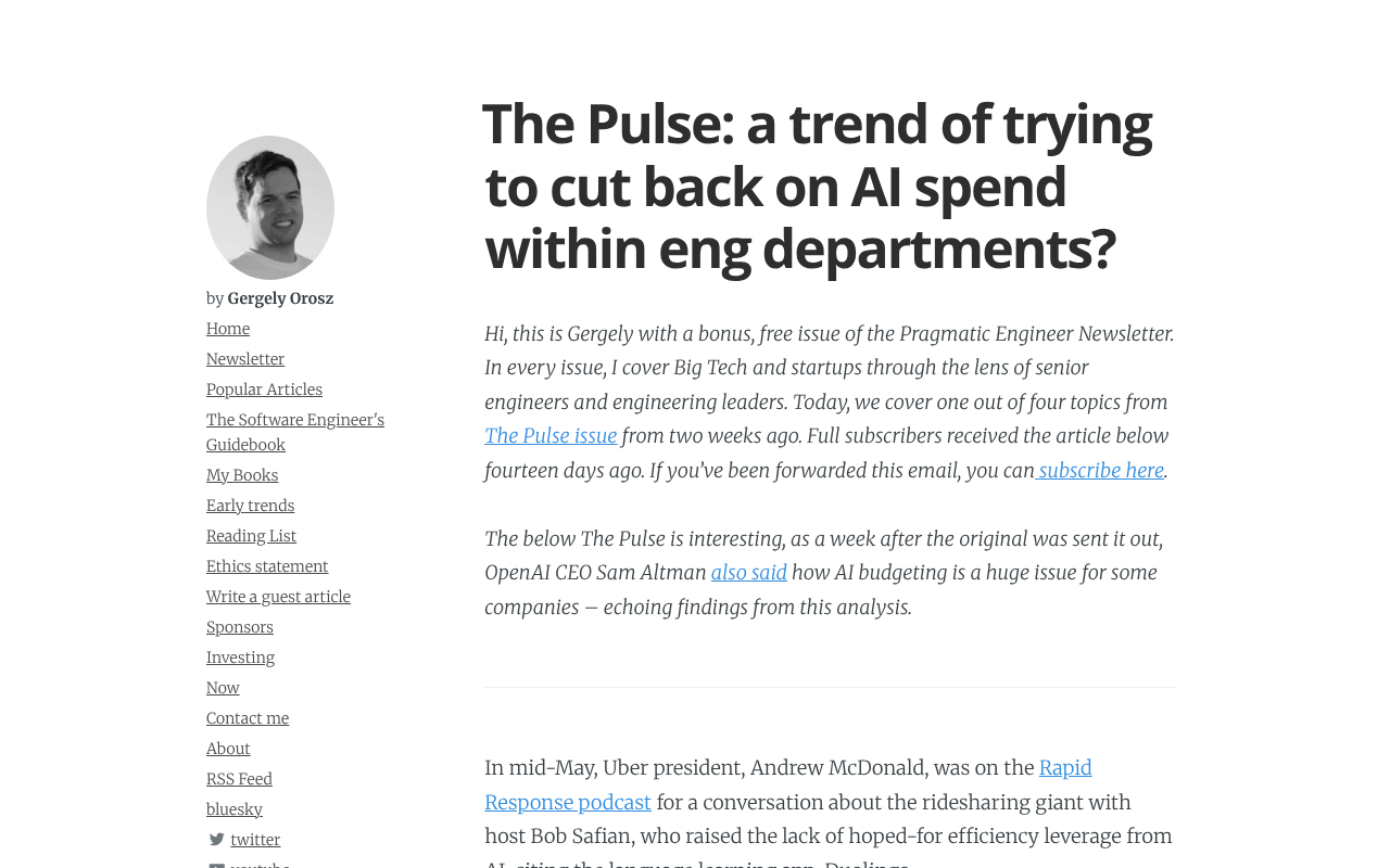 Why Engineering Teams Are Cutting AI Spending: The Shift from Hype to Rationality