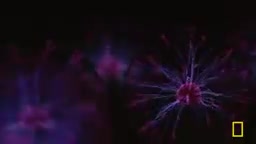 太阳是一个疯狂的地方