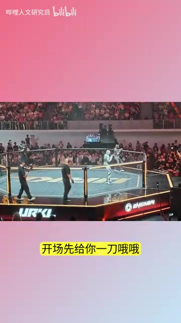 世界人形机器人格斗赛:中国众擎机器人技术实力震惊全球