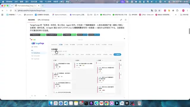 支持使用CLI MCP等多种方式