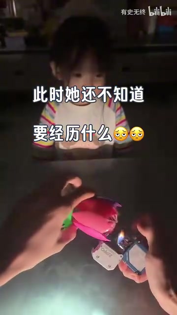我刚买的大火鸡