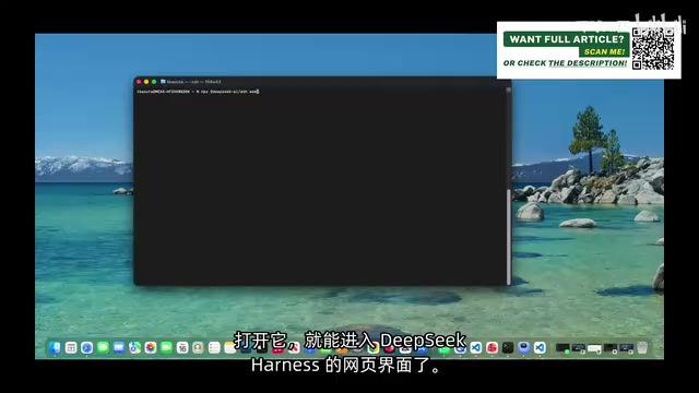 DeepSeek Harness网页界面