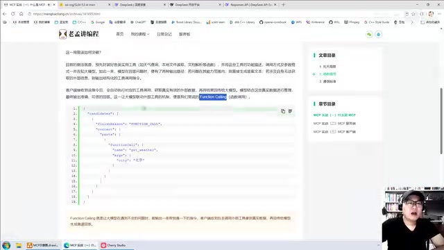 Function Calling完整调用流程