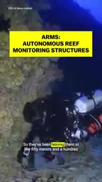 These structures were placed at 50 and 100 meters depth because so little is known about deep reef zones
