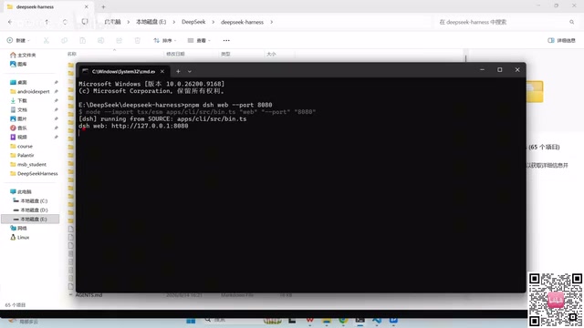 DeepSeek Harness启动成功界面