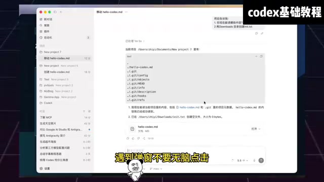 Codex permission authorization dialog