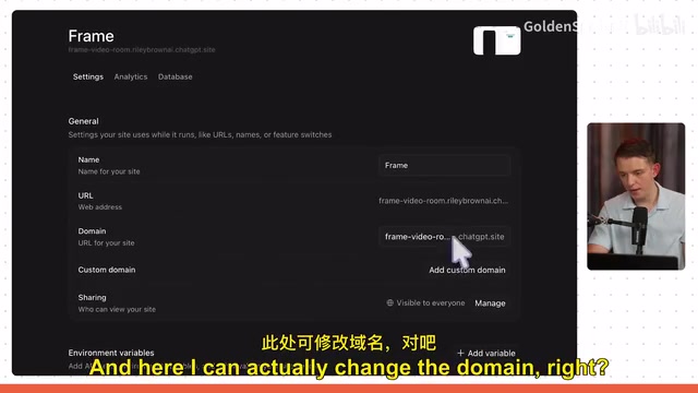 站点设置与域名配置