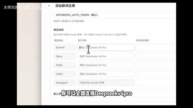 V4 Pro 模型配置界面