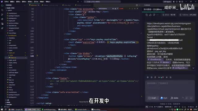 开发调试中的常见报错