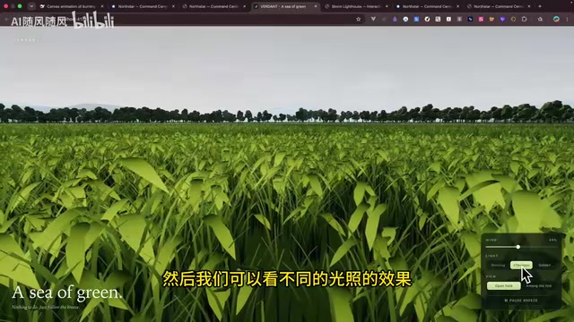 DeepSeek V4.1-Flash稻田中午光照效果