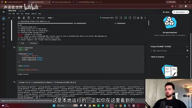 Ollama服务启动后的运行状态