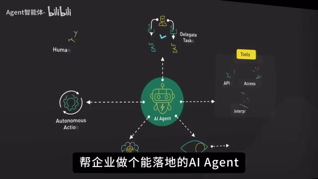 真的没有小向中南