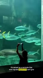 即便是顶级水族馆也无法满足动物需求