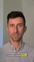 像捕猎，或下潜到数百甚至数千英尺深处