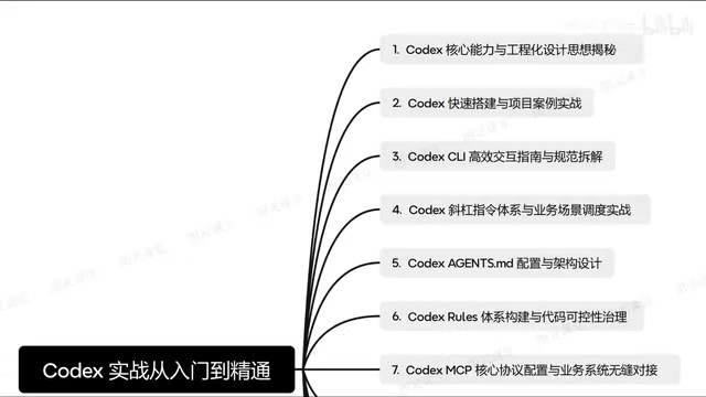 Codex Usage Guidelines