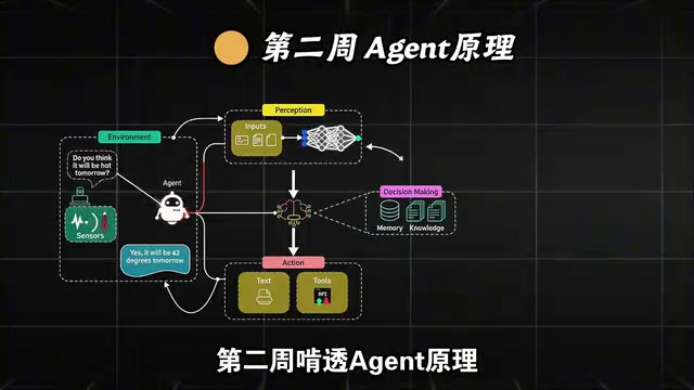 掌握完整工作流程与常见问题解决方案