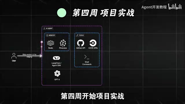 用前三周知识动手实战