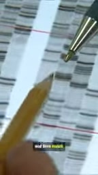 在复杂人体中寻找合适分子是一项巨大挑战