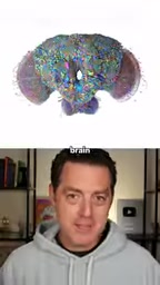 And now we can create realistic simulations of what it will do.