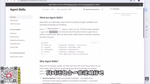 description determines how the Agent uses skills