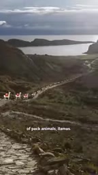 The Aztecs had no animal capable of challenging the warhorse