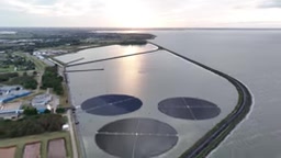 closing the carbon loop