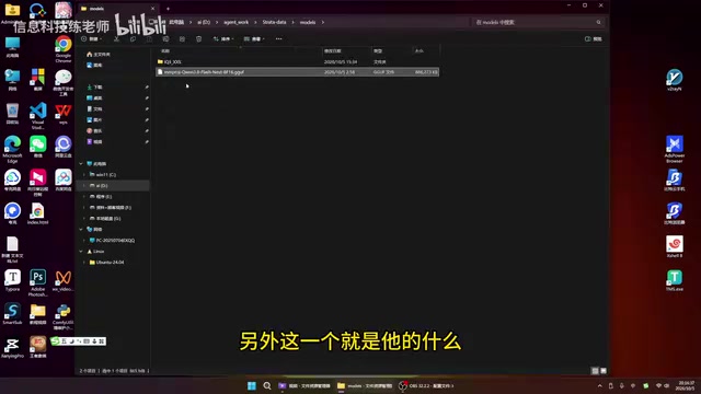 Vision Model Files