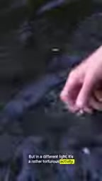 Is Catch-and-Release Actually Humane? The Fish Pain Debate We Keep Ignoring