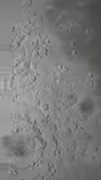 NASA DART Mission: Humanity's First Successful Asteroid Orbit Deflection