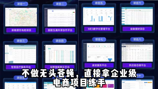直接拿企业级电商项目练手