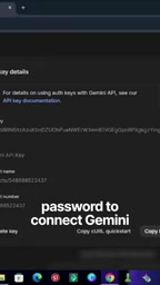 Sync the API Key in the workflow
