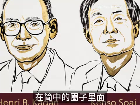 No standardized Chinese name found in Simplified Chinese sources