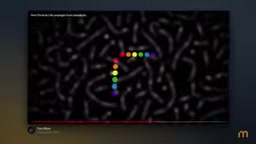 粒子生命模拟器中的粒子交互
