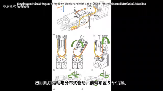 前臂布置5个电机