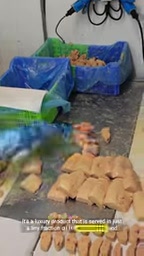 禁令的可行性
