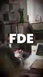 FTE enters the scene