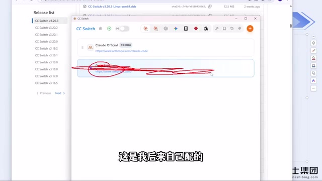 ccswitch initial interface with only a default configuration
