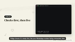 Pidiga checks WhatsApp number connection status before going live