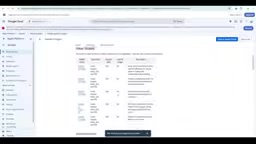Model details and token window