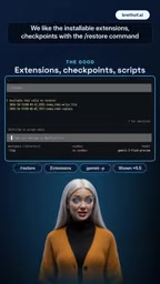 Checkpoint feature