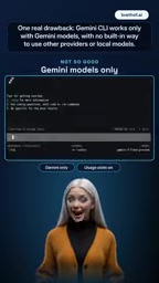 Model limitation