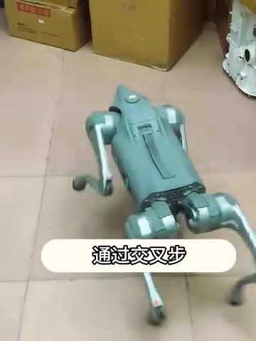 腿部交叉细节