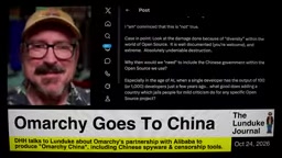 批评者讨论开源项目多元性争议的截图