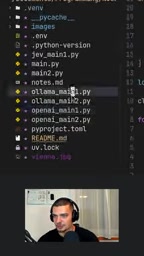 Decision model call in the Ollama version