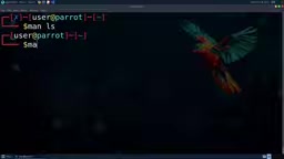 Viewing command manual in terminal