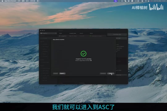 TestFlight构建版本界面