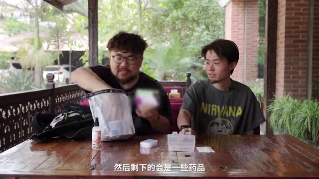 这些东西大多都是肠胃之类的