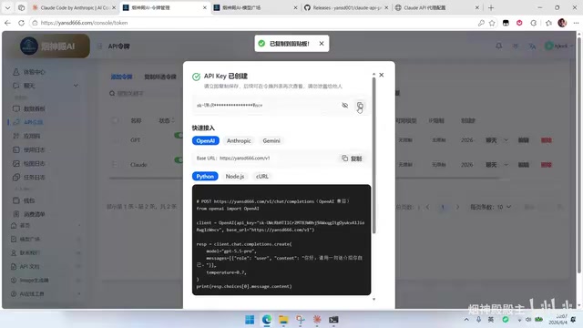 粘贴到转换工具的配置中