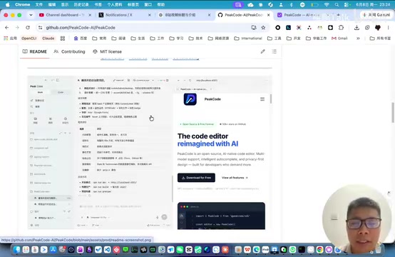 PeakCode开源AI编程工具:融合Claude Code与Codex的全能方案