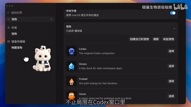 Codex零基础实战:不写代码完成全栈世界杯应用